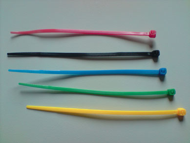Lx-001 - Nylon Cable Ties 100 x 2.5mm (50pcs)